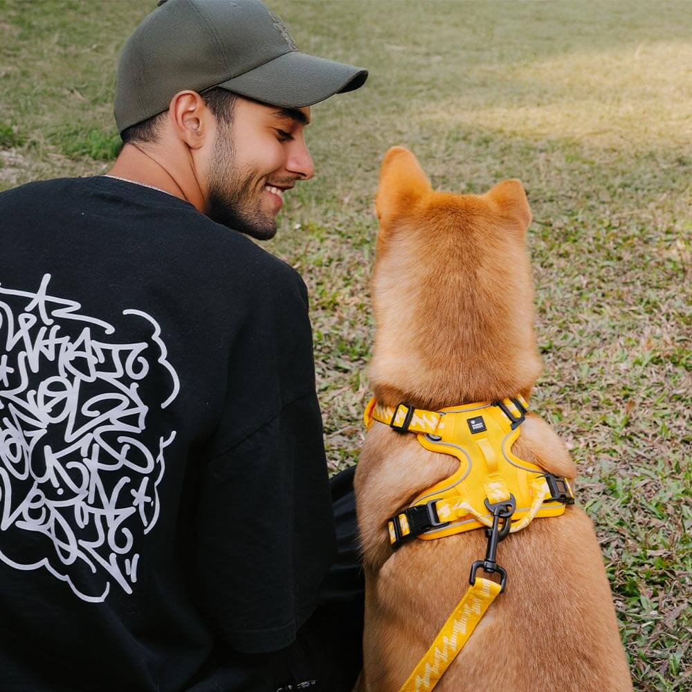 Reflective Adjustable Outdoor Dog Harness Yellow M