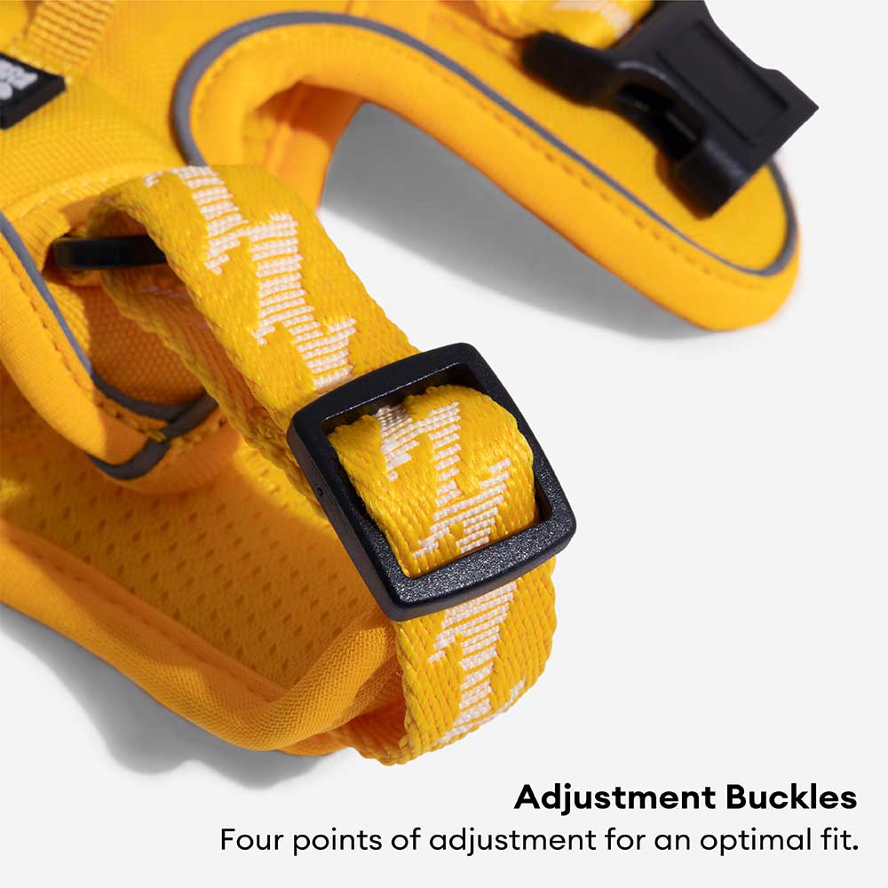 Reflective Adjustable Outdoor Dog Harness Orange S