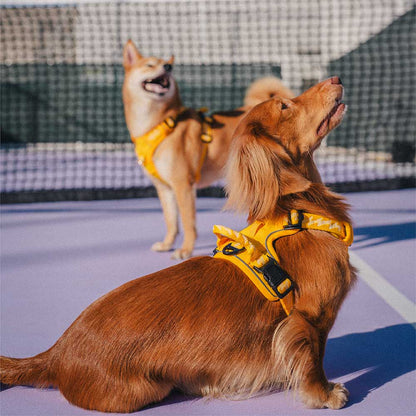 Reflective Adjustable Outdoor Dog Harness Gray L