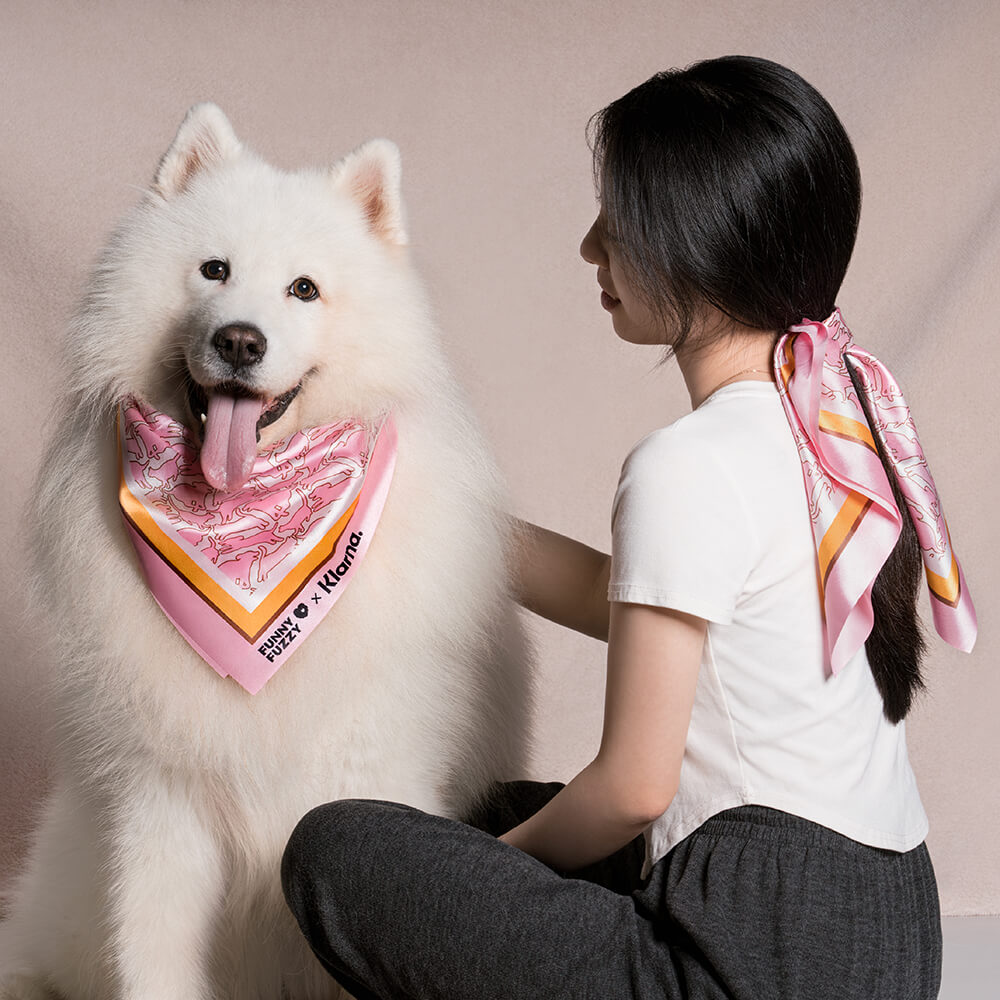 Large Travel Dog Car Seat Bed
