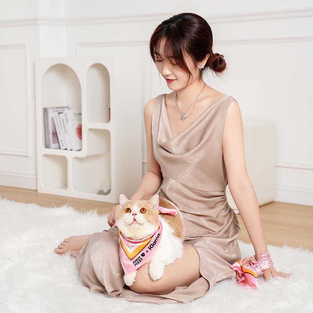 Large Travel Dog Car Seat Bed