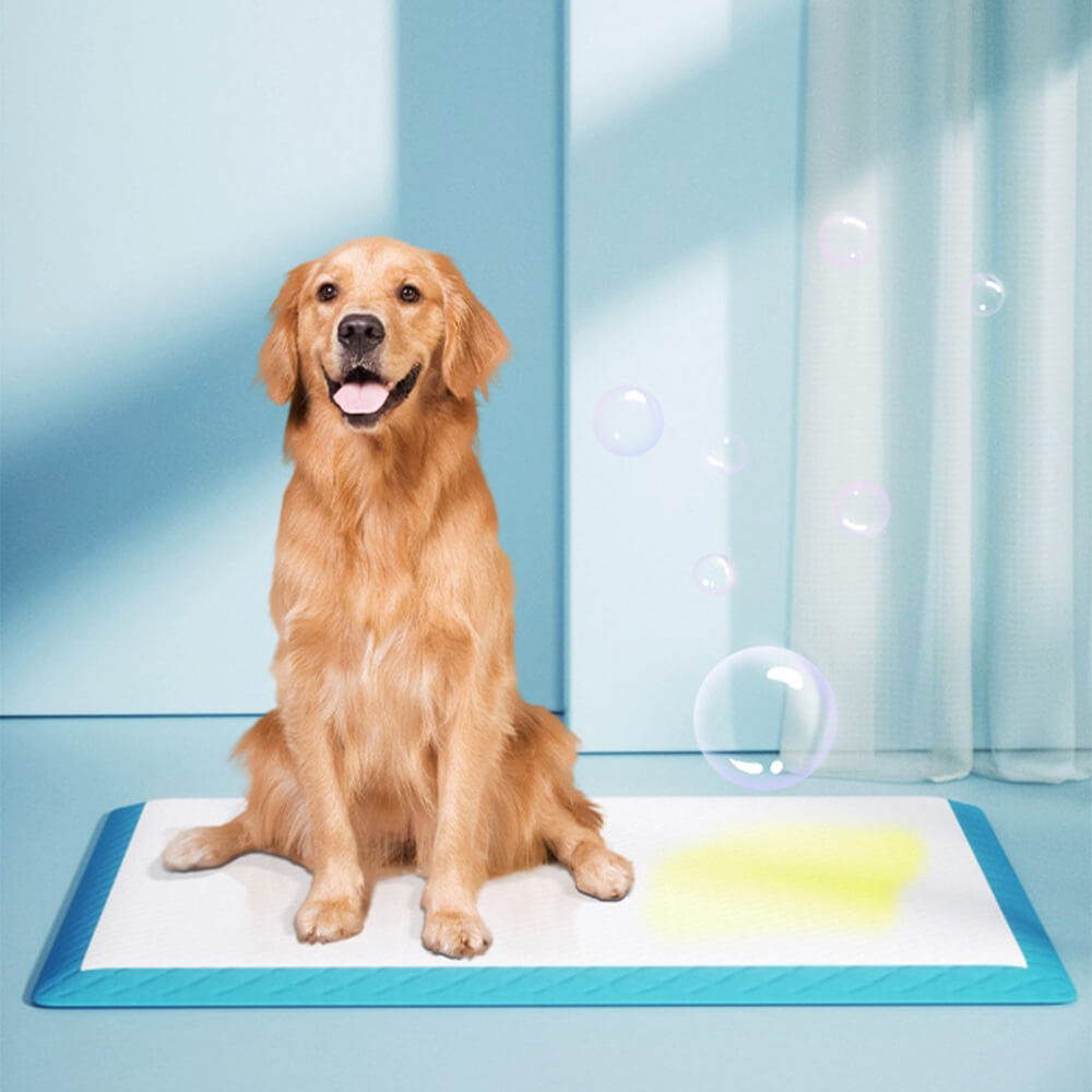 Absorbent Leak-Proof Dog Training Pads