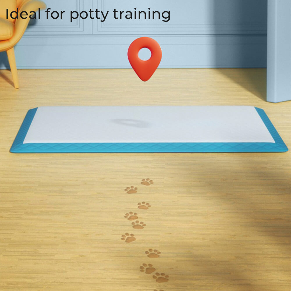 Absorbent Leak-Proof Dog Training Pads XL - 20 pcs