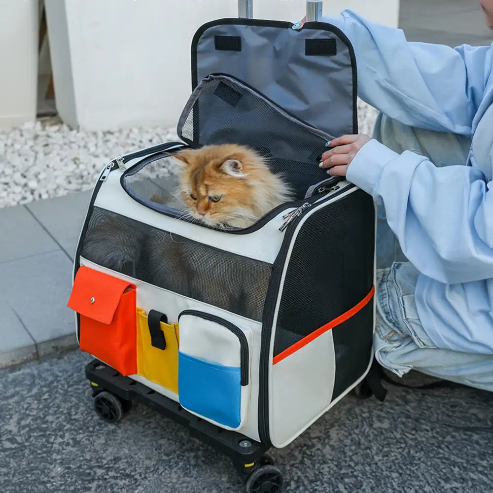 Rolling Pet Backpack Carrier with Detachable Trolley White Backpack