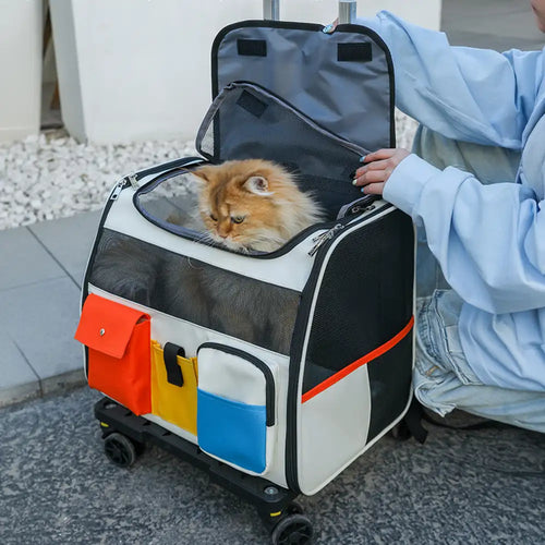 Rolling Pet Backpack Carrier with Detachable Trolley White Backpack