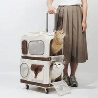 Bags & Trolley