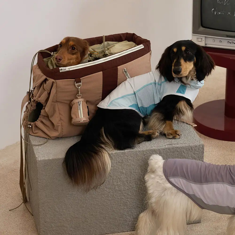 Large Waterproof Travel Pet Carrier Bag