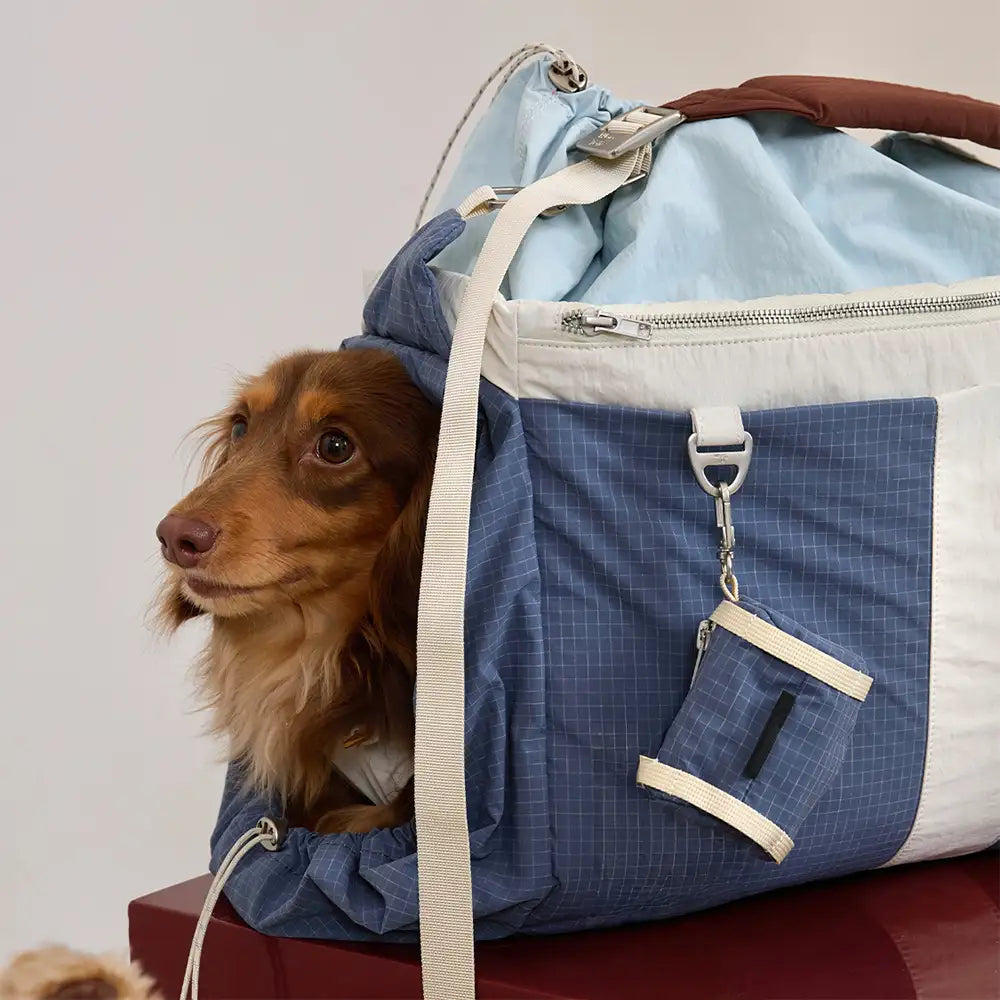 Large Waterproof Travel Pet Carrier Bag