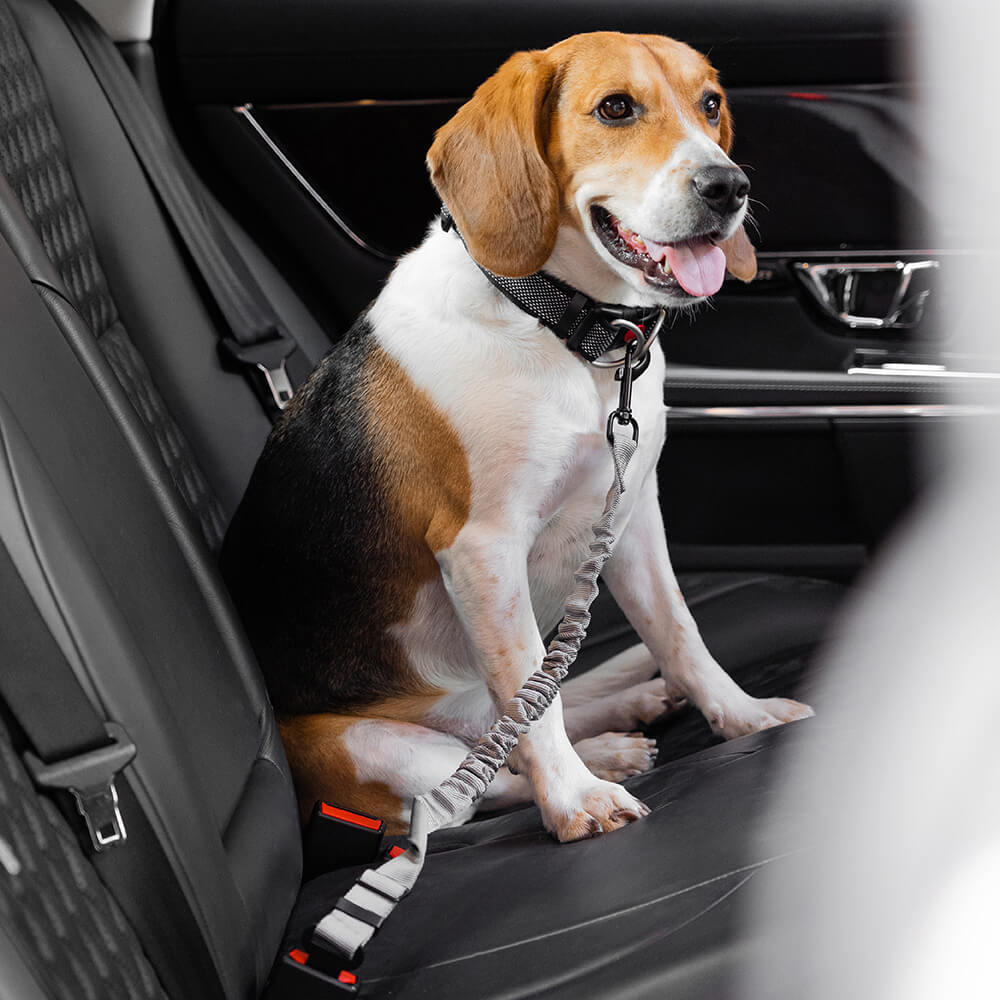 Adjustable Dog Car Seat Belt with Shock Absorber Light Grey+Harness XS