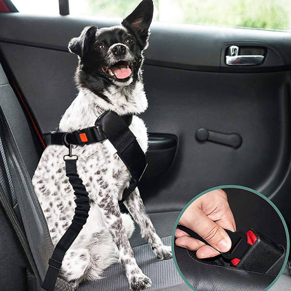 Adjustable Dog Car Seat Belt with Shock Absorber Neon Orange+Harness XL