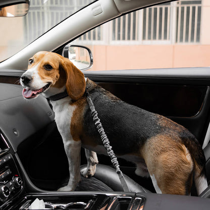 Adjustable Dog Car Seat Belt with Shock Absorber Light Grey+Harness S