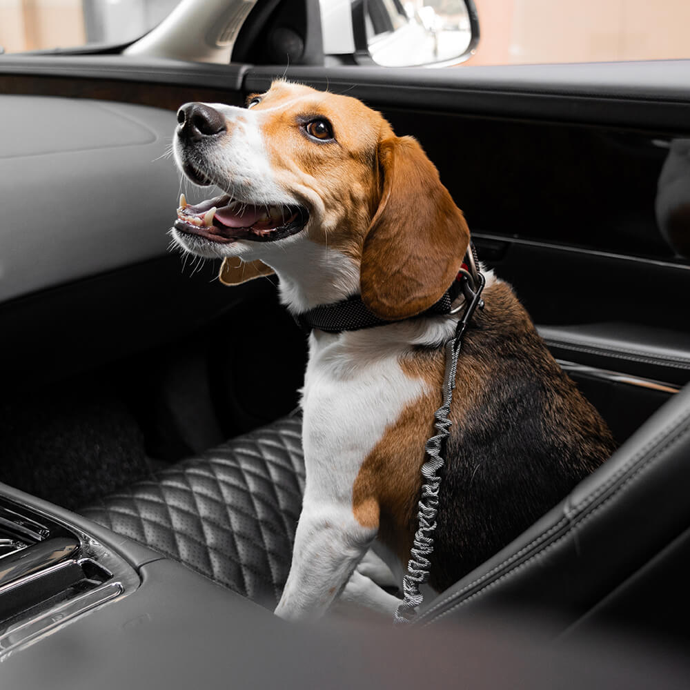 Adjustable Dog Car Seat Belt with Shock Absorber Light Grey+Harness M