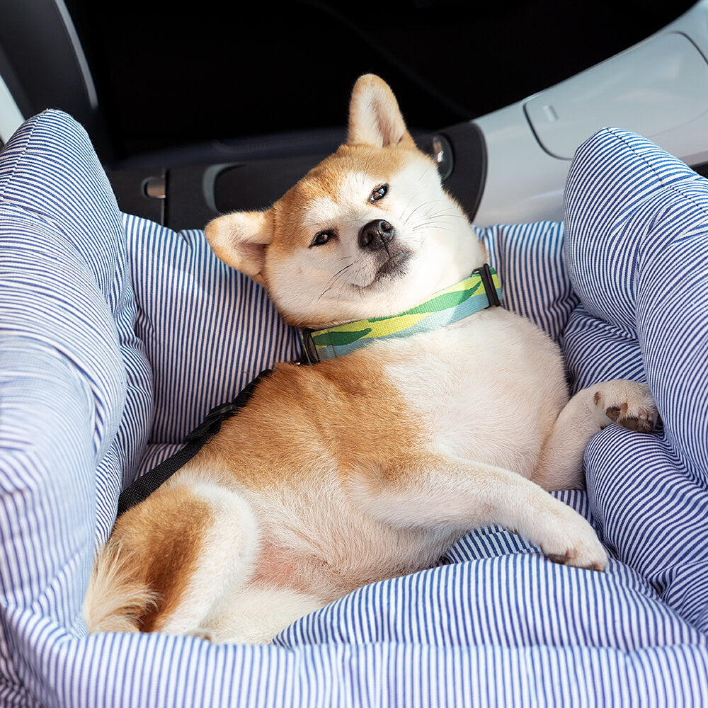 Portable ISOFIX Dog Car Seat Bed with LATCH Anchors