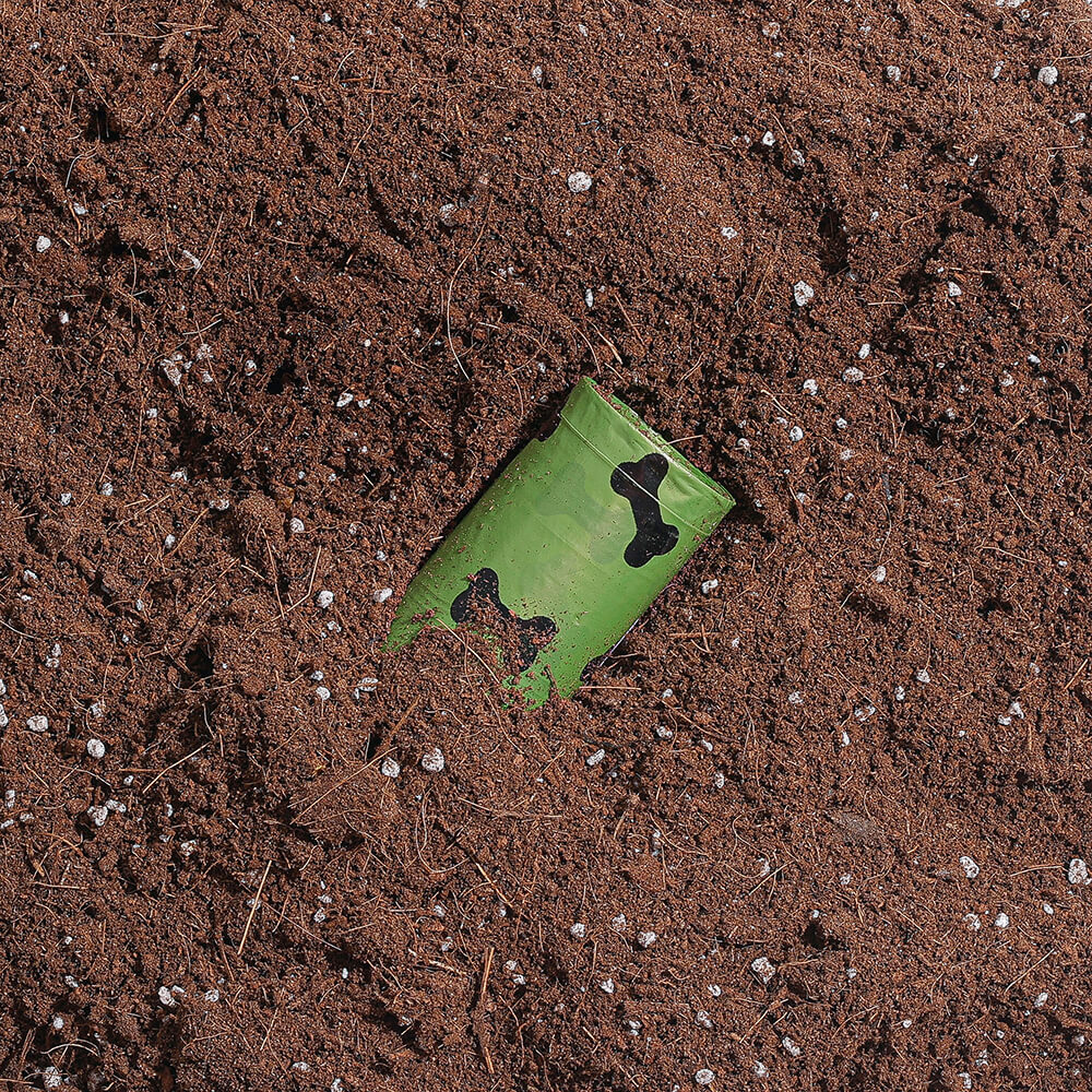 Scented Biodegradable Dog Poop Bags Green | 180 Count