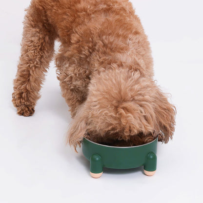 Tetrapod Elevated Dog Bowl