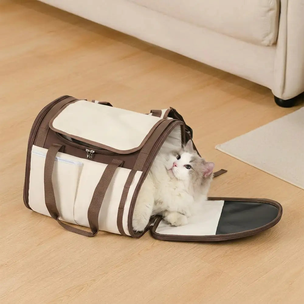 Large Breathable Foldable Pet Backpack Carrier