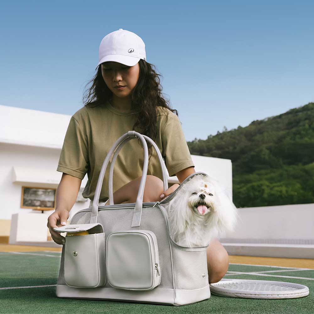 Lightweight Breathable Mesh Pet Carrier