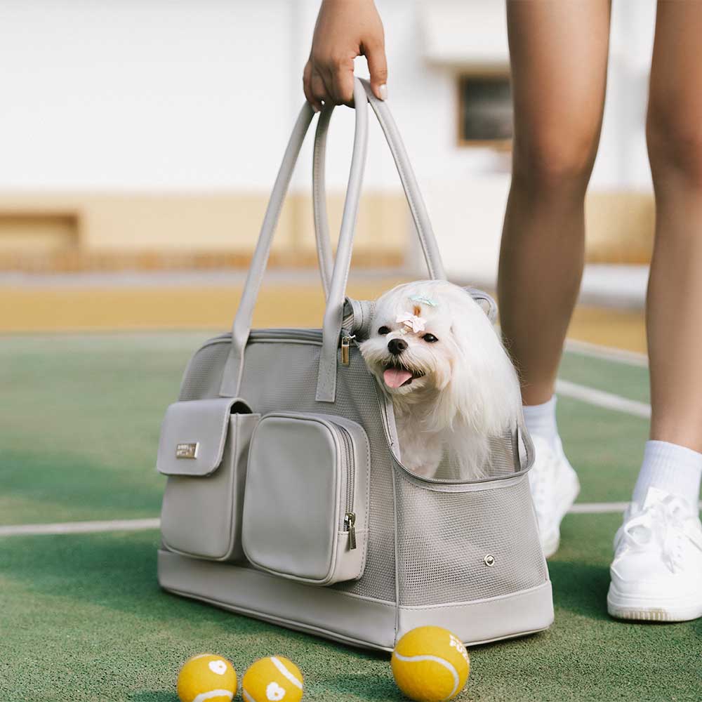 Lightweight Breathable Mesh Pet Carrier