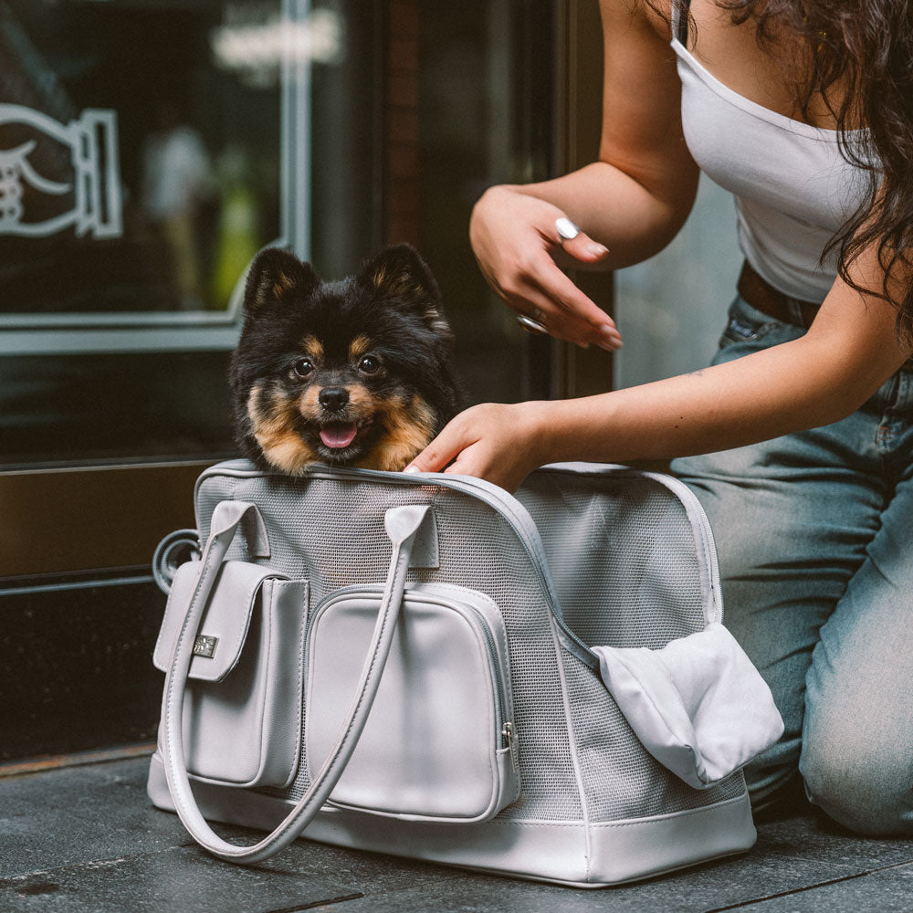 Lightweight Breathable Mesh Pet Carrier
