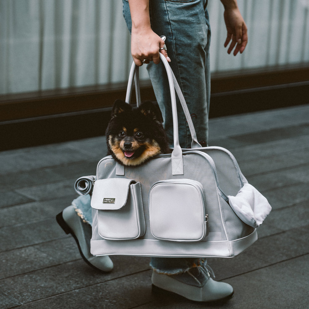 Lightweight Breathable Mesh Pet Carrier Beige