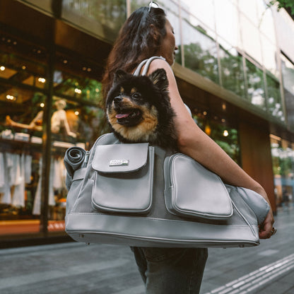 Lightweight Breathable Mesh Pet Carrier