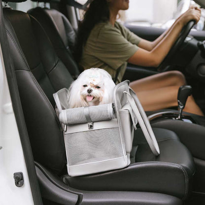 Lightweight Breathable Mesh Pet Carrier
