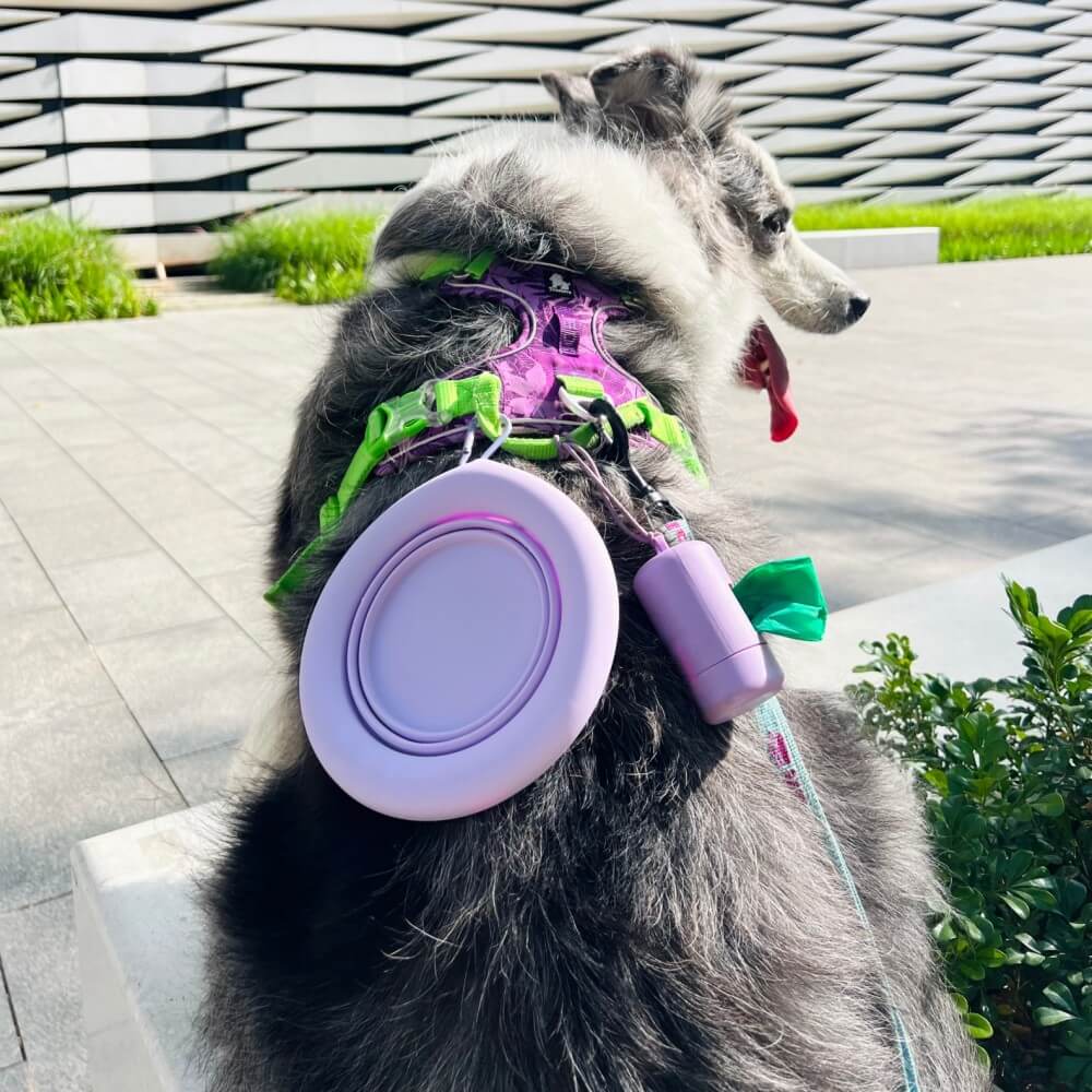 Portable Collapsible Silicone Pet Bowl