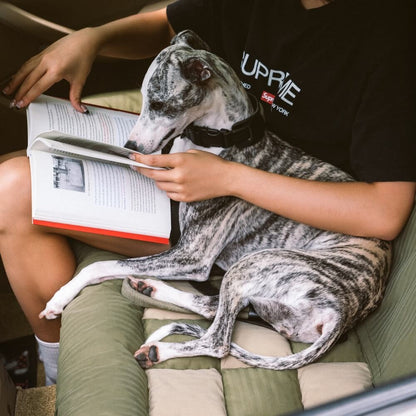 Large Bolster Dog Car Seat Bed for Road Trips