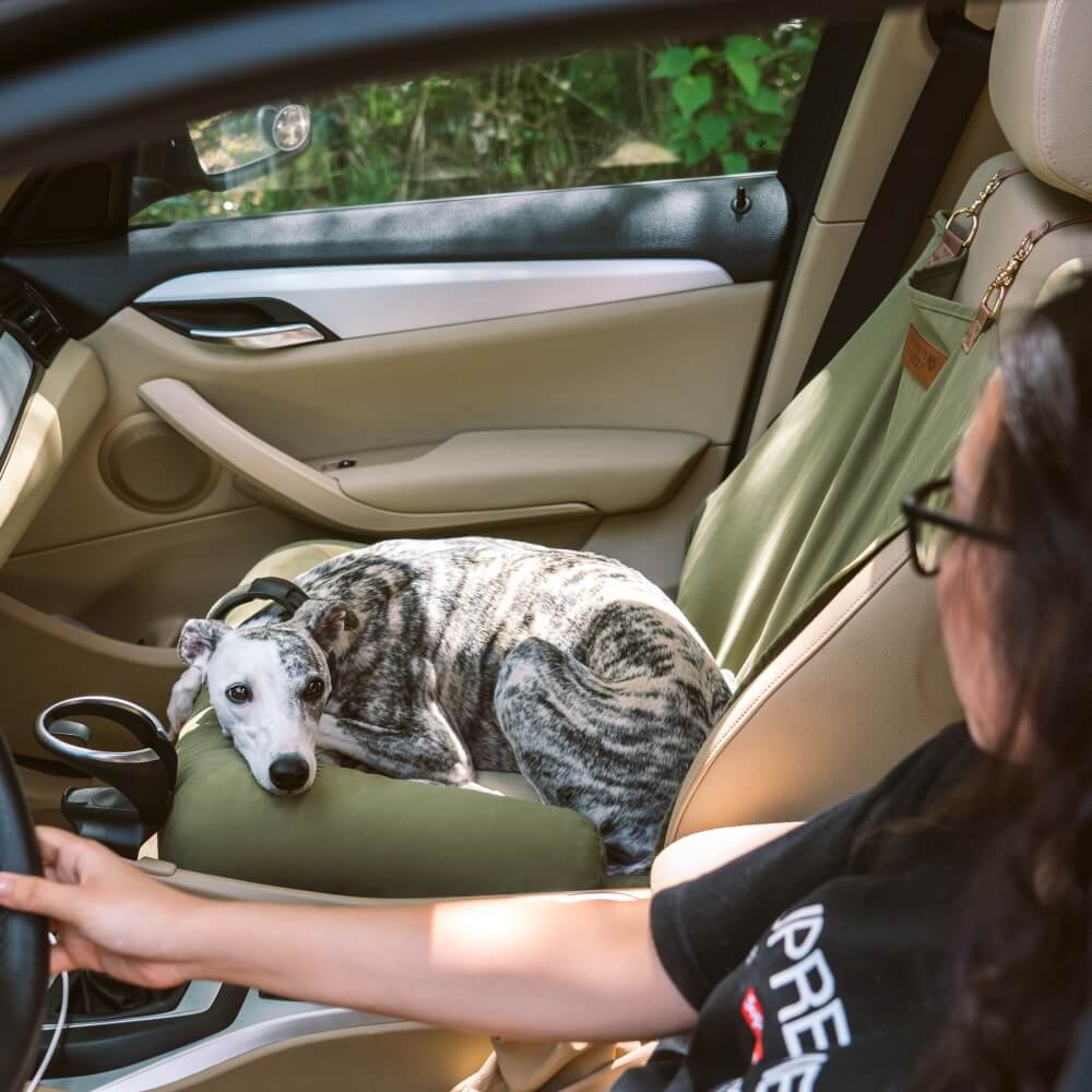 Large Bolster Dog Car Seat Bed for Road Trips Blue Single Seat