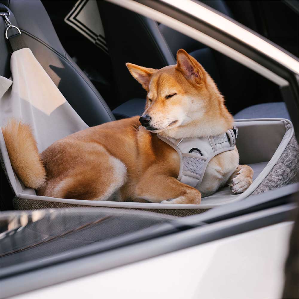 Thickened Elevated Dog Car Seat Bed