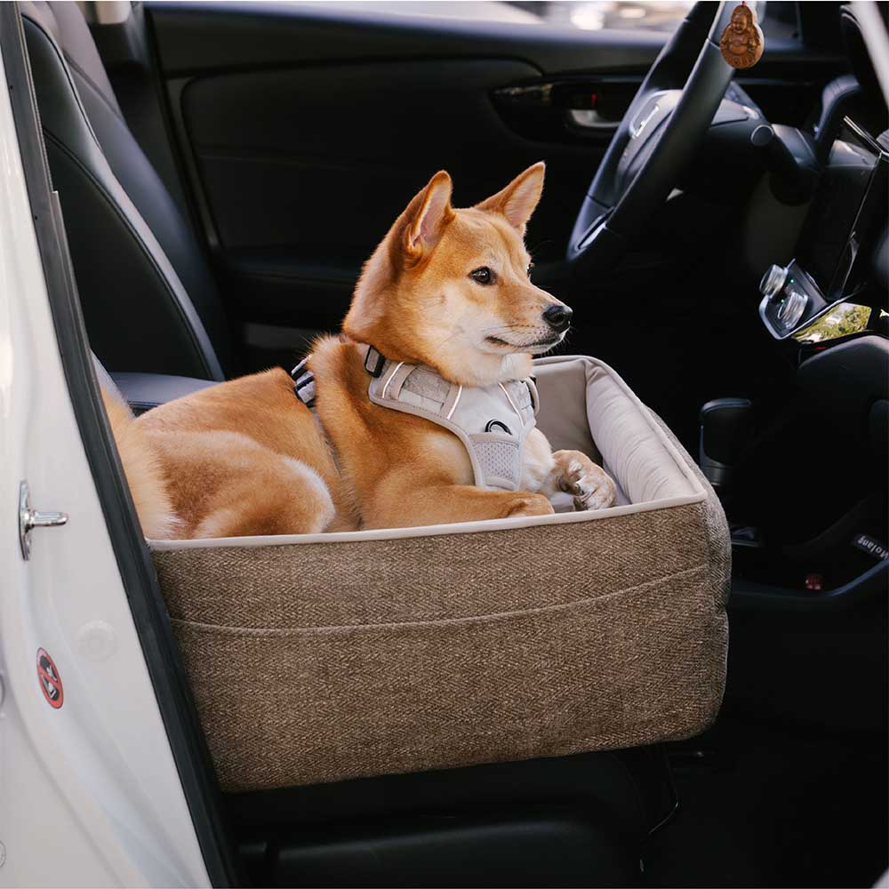 Thickened Elevated Dog Car Seat Bed Grey Single Seat