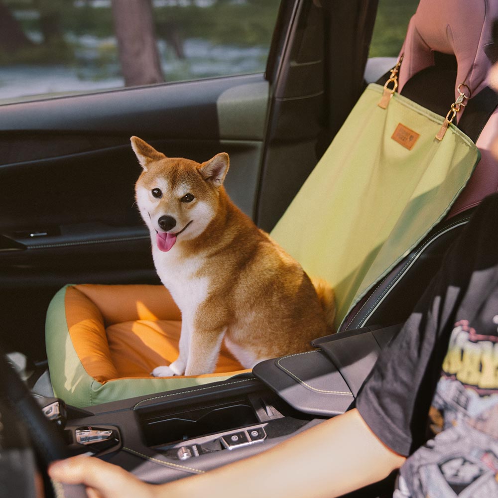 Waterproof Anti-Slip Dog Car Seat Cover Orange Green-Standard
