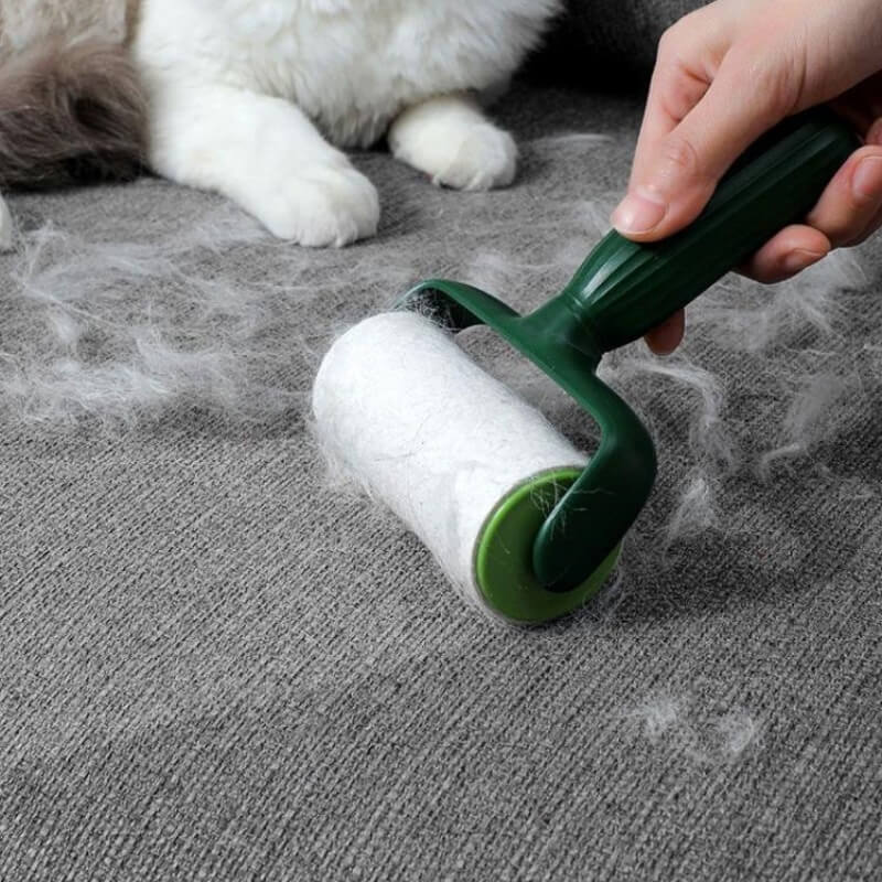 Handheld Pet Hair Lint Roller with Refills Light Green