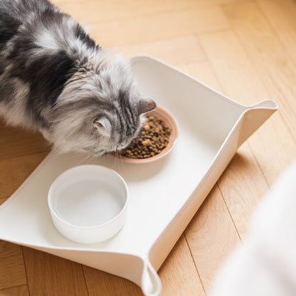 Waterproof Spill-Proof Pet Bowl Mat