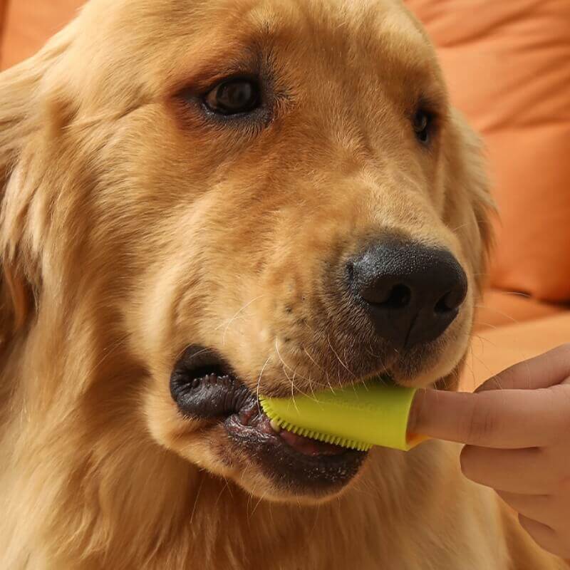 Pet Finger Toothbrush for Teeth Cleaning