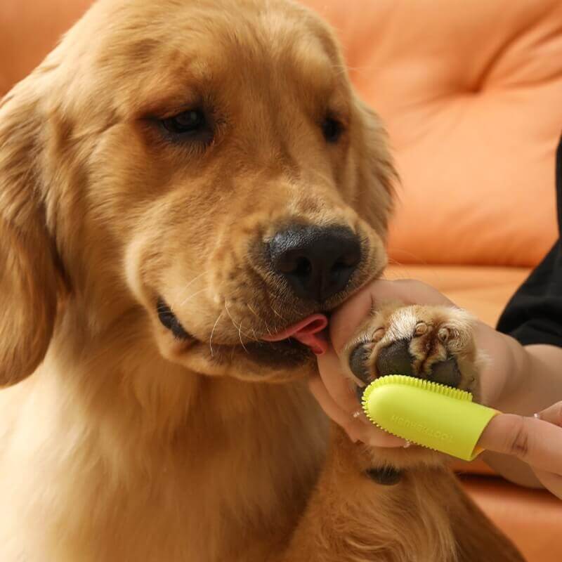Pet Finger Toothbrush for Teeth Cleaning