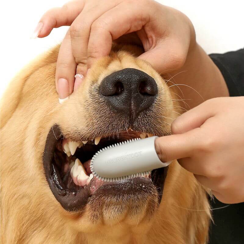 Pet Finger Toothbrush for Teeth Cleaning Yellow