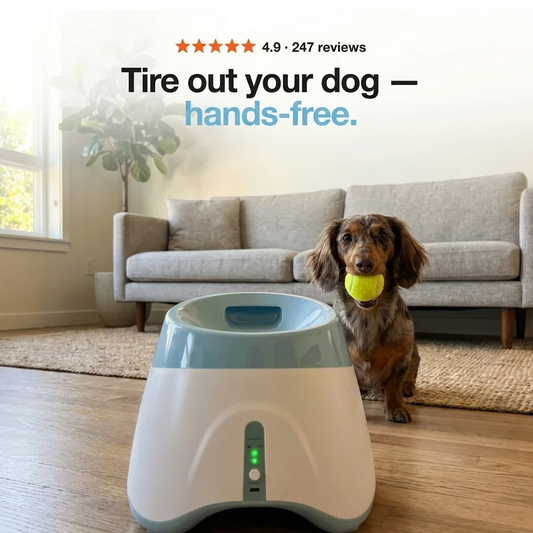 Paw Trail ™ Ball Launcher